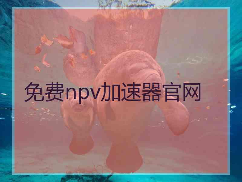 免费npv加速器官网