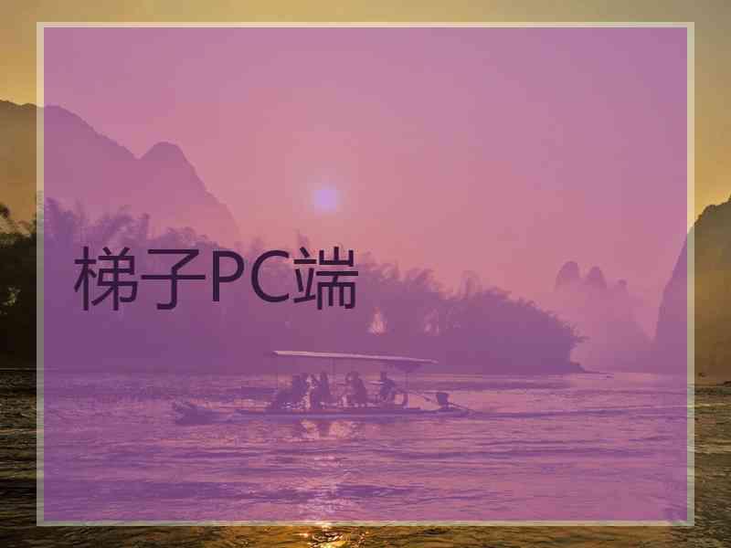 梯子PC端