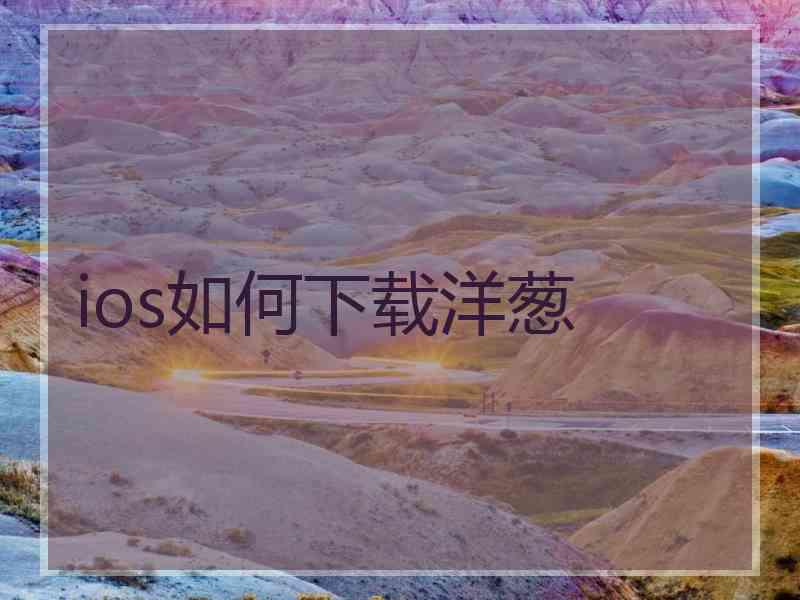 ios如何下载洋葱