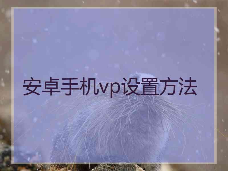 安卓手机vp设置方法