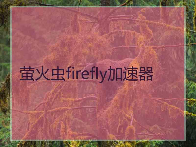 萤火虫firefly加速器