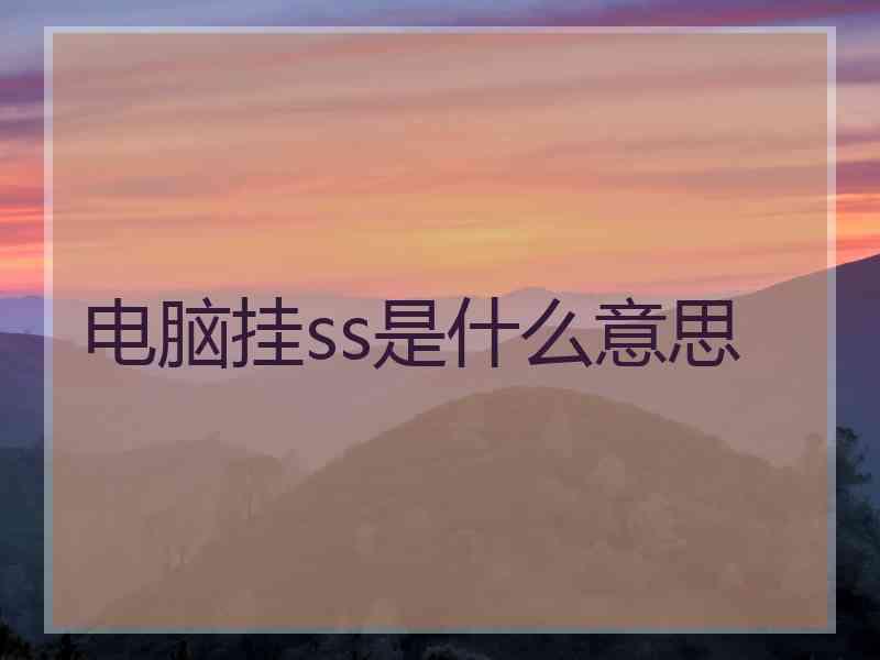 电脑挂ss是什么意思