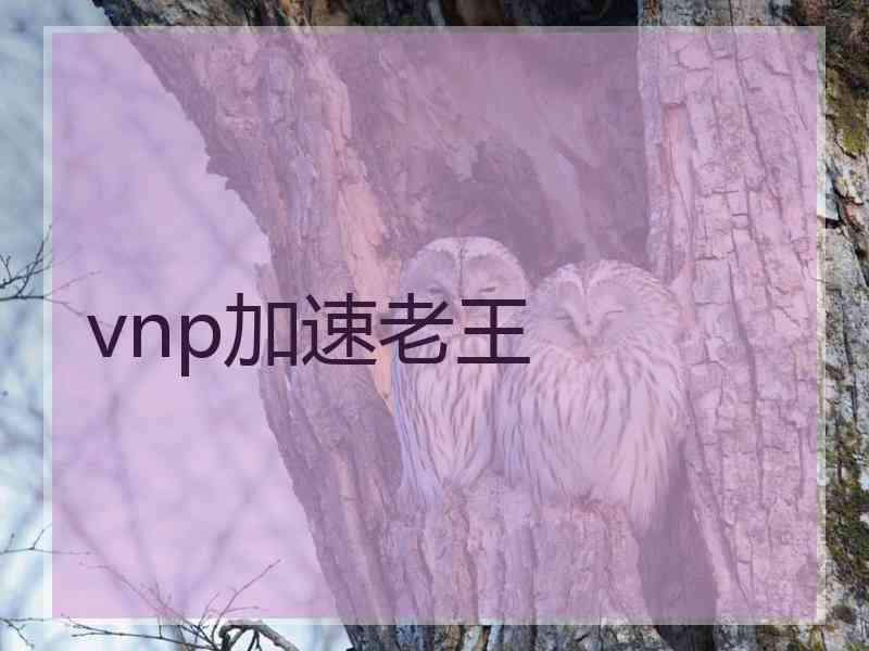 vnp加速老王